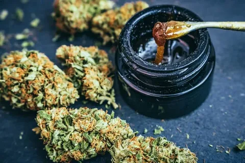 Lion Hash: A Bold and Traditional Cannabis Concentrate