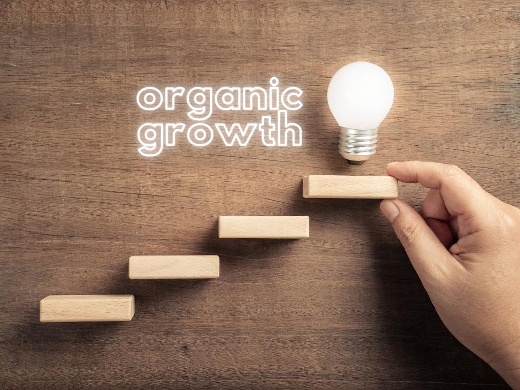 How Creating SEO Governance Supports Sustainable Organic Growth